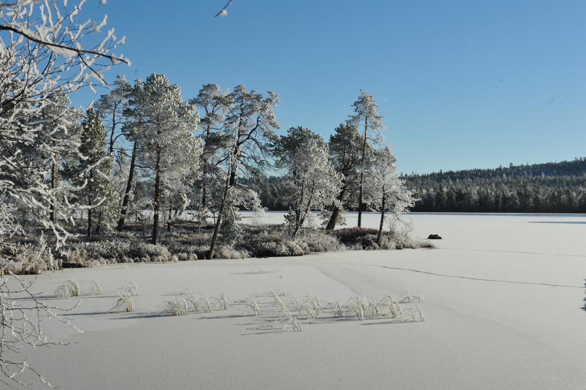 Vila Auroracabin Chalets Saariselka Pokoj fotografie