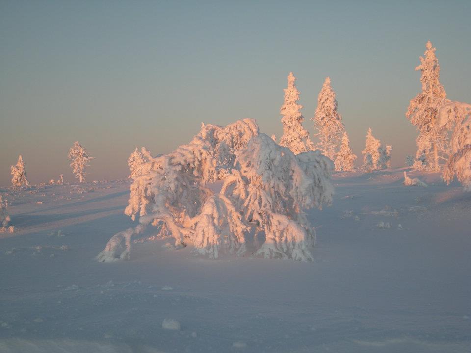 Vila Auroracabin Chalets Saariselka Exteriér fotografie