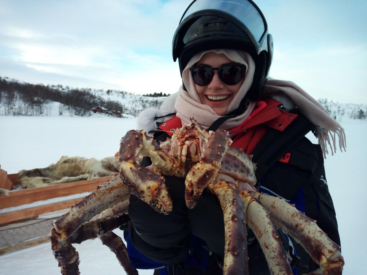 Vila Auroracabin Chalets Saariselka Exteriér fotografie